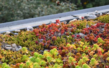 the cost of Coldmeece green roof installation
