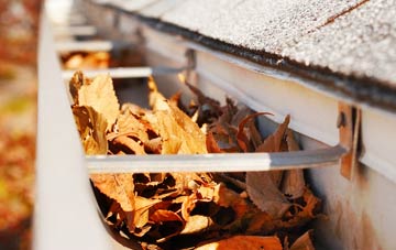 Coldmeece gutter cleaning companies