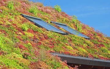 Coldmeece living roof systems