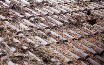 Coldmeece roof cleaning companies