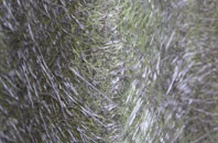 Coldmeece fibreglass roof work